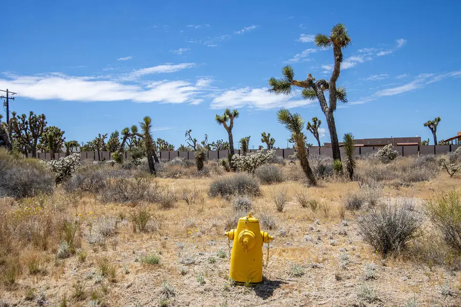 5020 Old Woman Springs Road, Yucca Valley, CA 92284 - #3