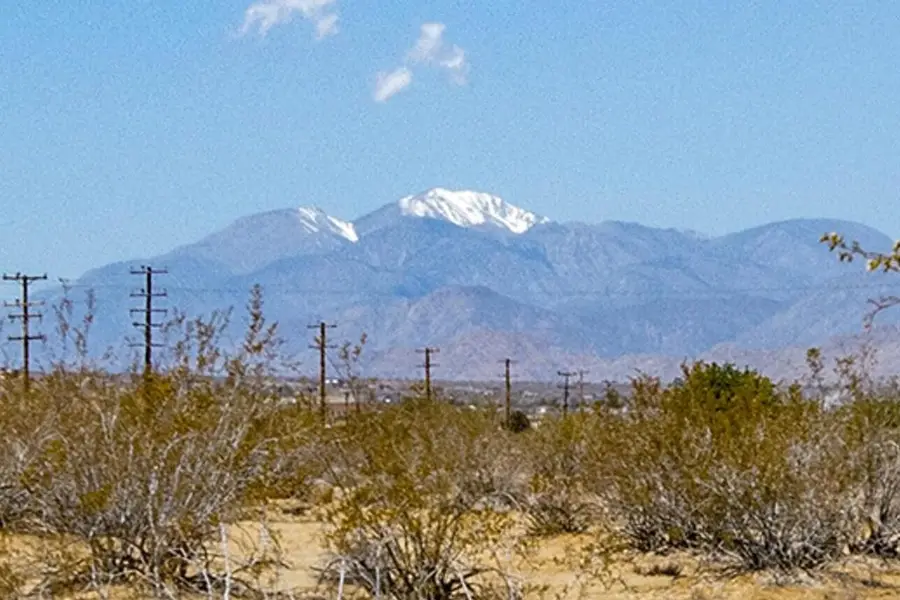 107 29 Palms Highway, Joshua Tree, CA 92252 - #2