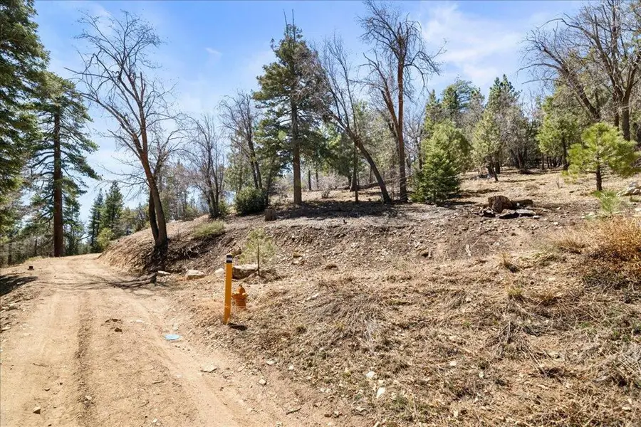 1286 Canyon Road, Fawnskin, CA 92333 - #3