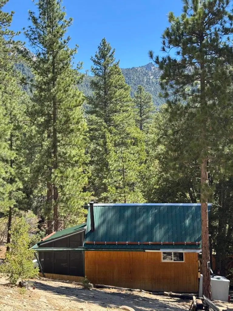 52660 Forest Route 4s02, Idyllwild, CA 92549 - #1