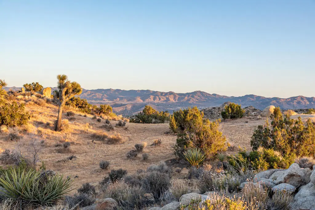 56765 Sable Court, Yucca Valley, CA 92284 - #1