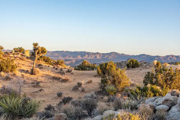 56765 Sable Court, Yucca Valley, CA 92284