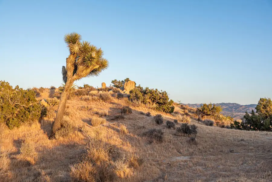 56765 Sable Court, Yucca Valley, CA 92284 - #3