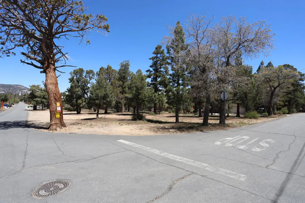 0 Dixie Lee, Sugarloaf, CA 92386 - #1