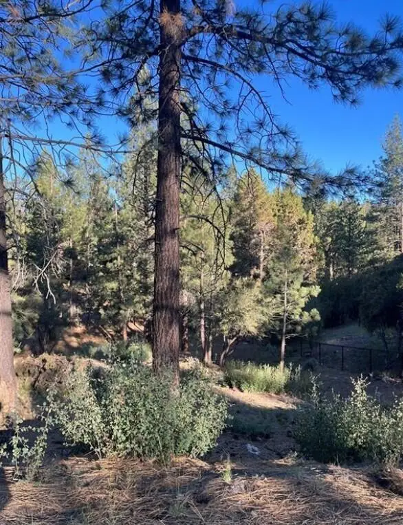 545 Division Drive, Big Bear, CA 92314