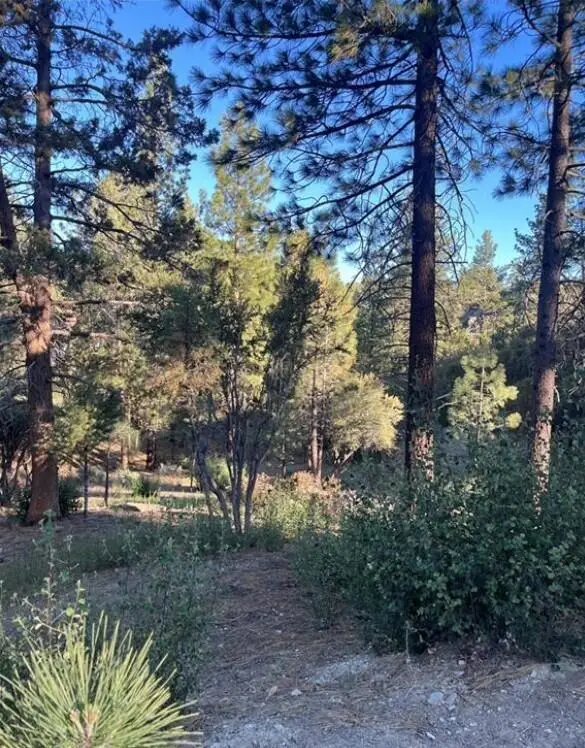 545 Division Drive, Big Bear, CA 92314 - #2