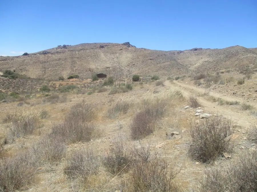 28 Hughes, Acton, CA 93510 - #2