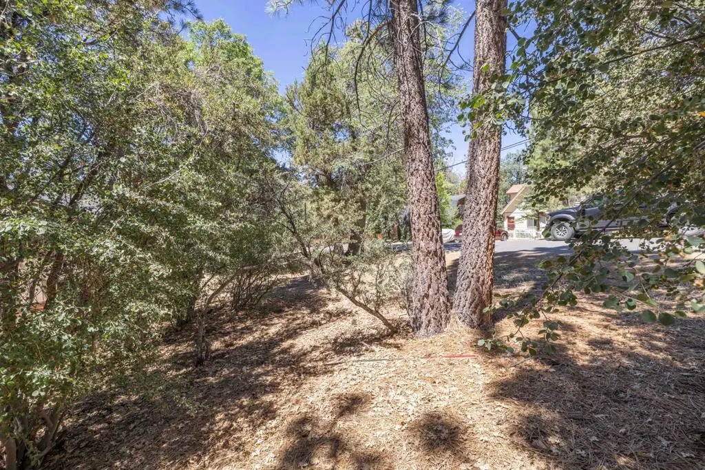 810 Vista Avenue, Sugarloaf, CA 92386 - #1
