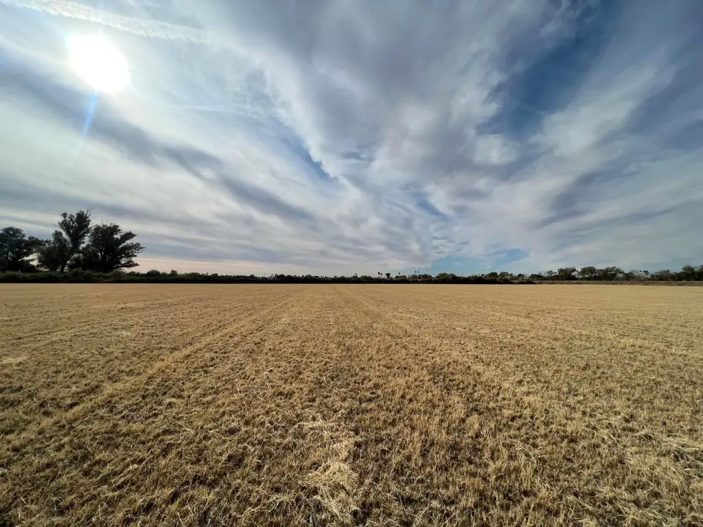 1159 Broadway, Blythe, CA 92225 - #1