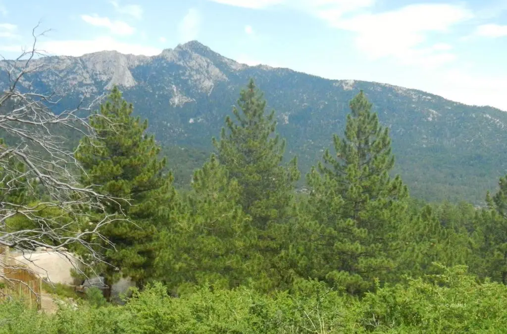 0 Big Rock, Idyllwild, CA 92549 - #1