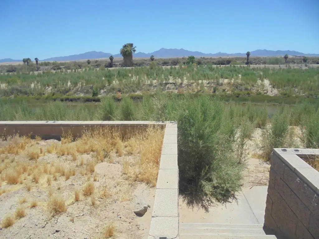 1556 Riviera Drive, Blythe, CA 92225 - #1