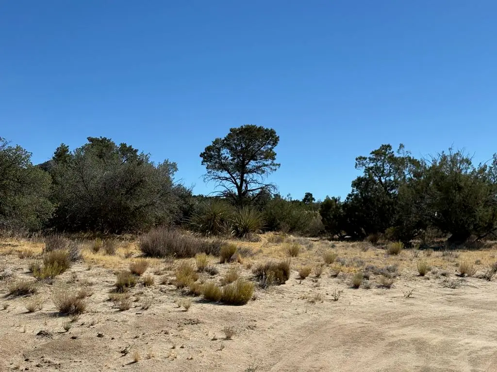 0 Materhorn, Mountain Center, CA 92561 - #1