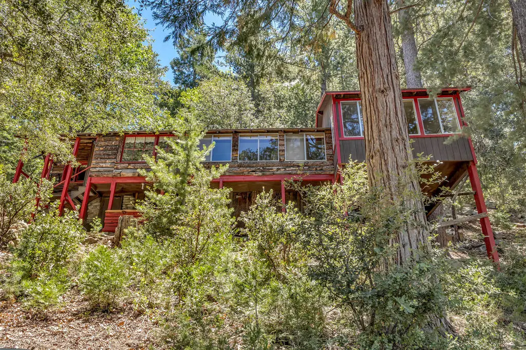 52751 Fernland Drive, Idyllwild, CA 92549 - #1