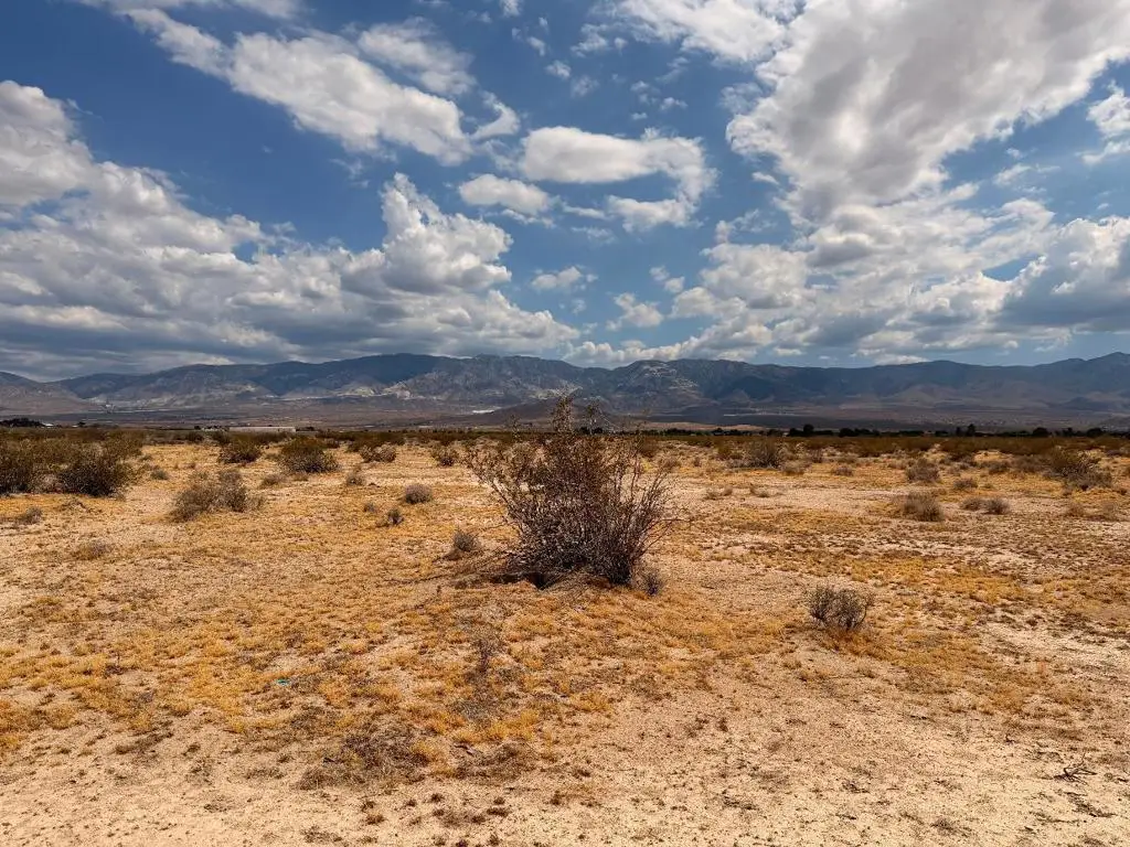 40 Rabbit Springs Road, Lucerne Valley, CA 92356 - #1