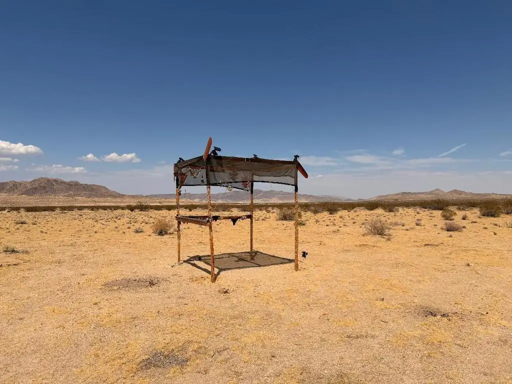 5 Brody, Johnson Valley, CA 92285 - #1