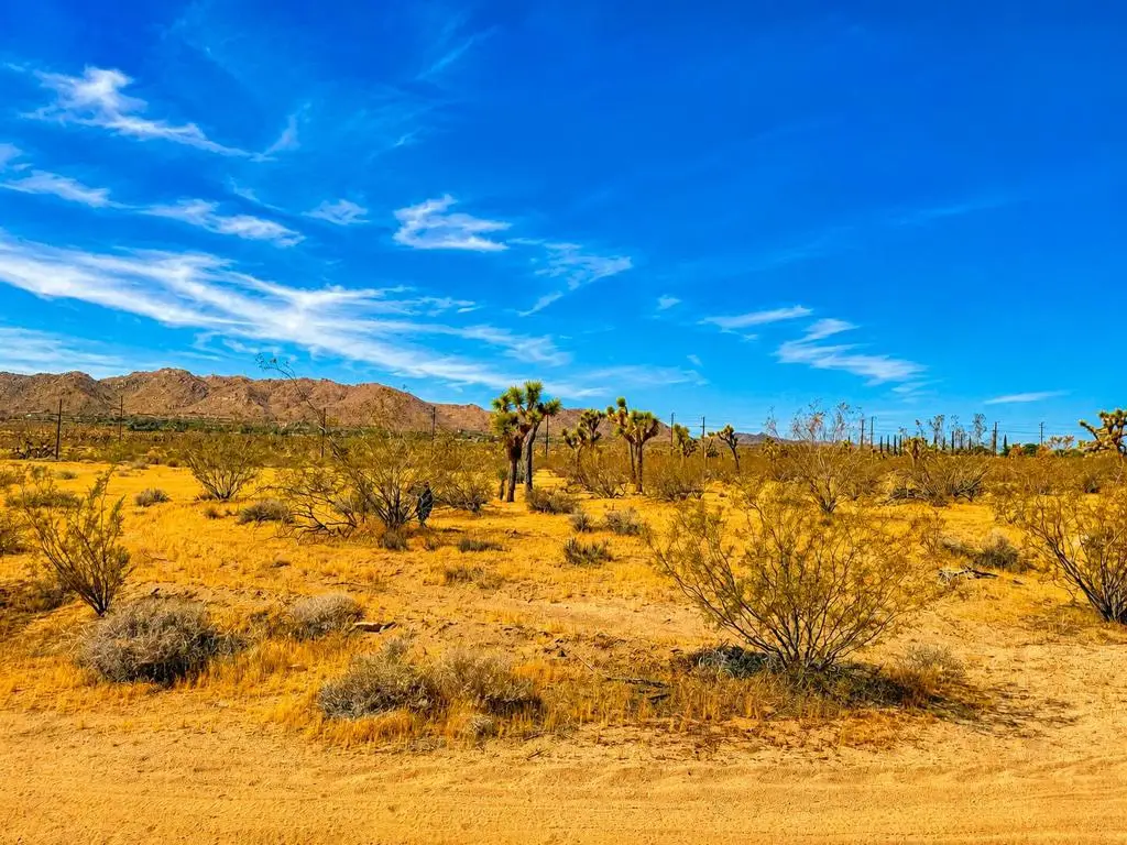 0 Rockwood Road, Joshua Tree, CA 92252 - #1