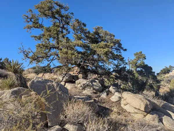 Lot 84 Mountain Park Road, Mountain Center, CA 92561