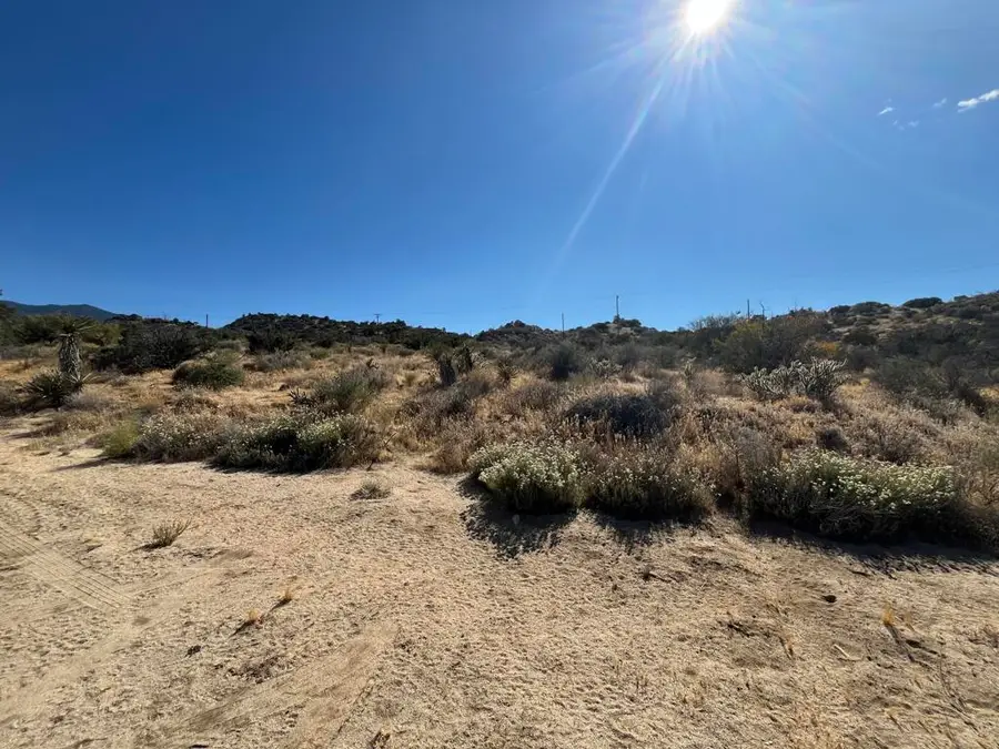 61567 Sun Terrace, Mountain Center, CA 92561 - #2