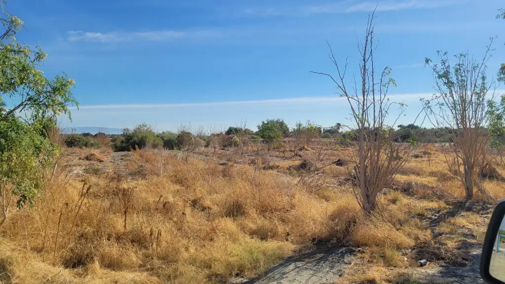 89635 81st Avenue, Thermal, CA 92274 - #1