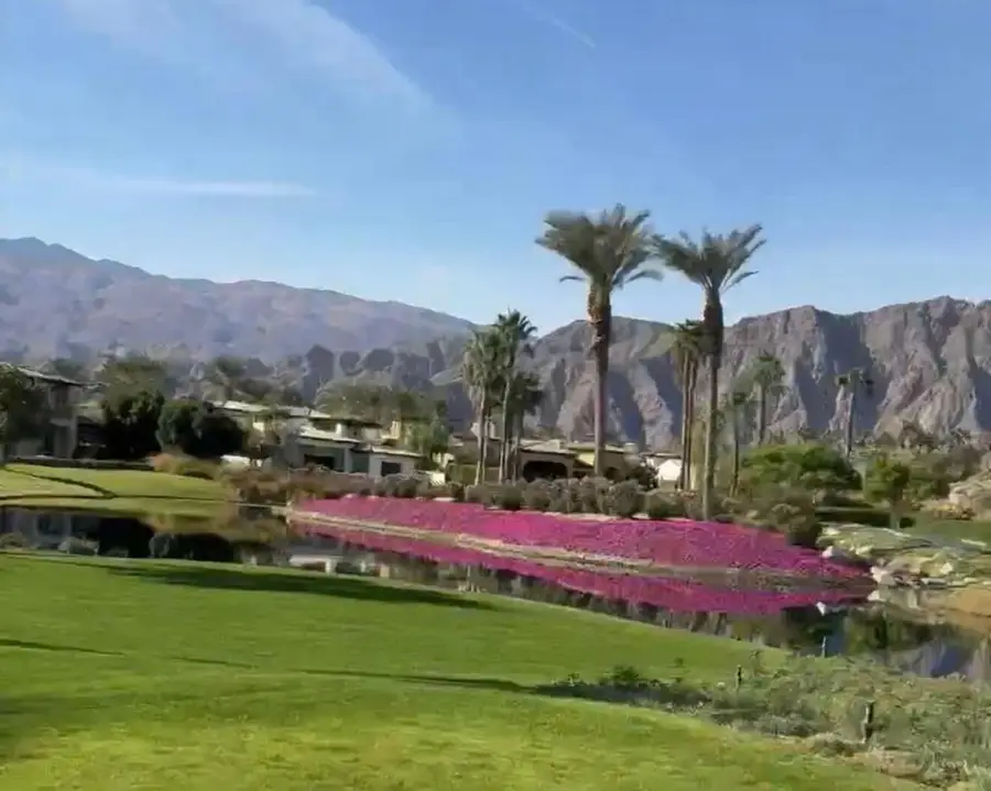 53031 Via Savona, La Quinta, CA 92253 - #2
