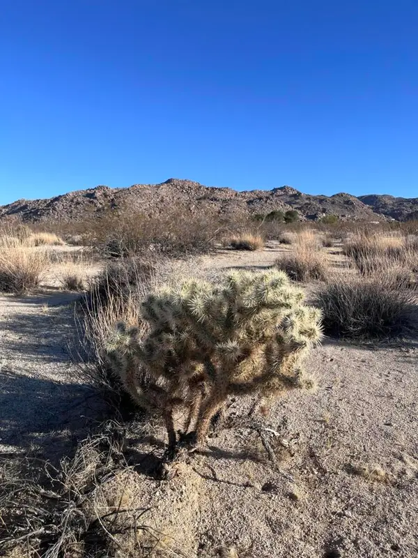 0 Lee Rd, 29 Palms, CA 92277