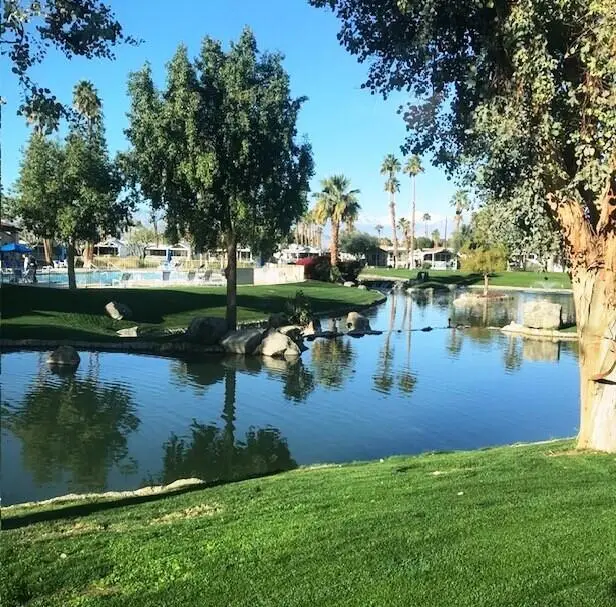 84136 Ave 44, #768 #768, Indio, CA 92203 - #1