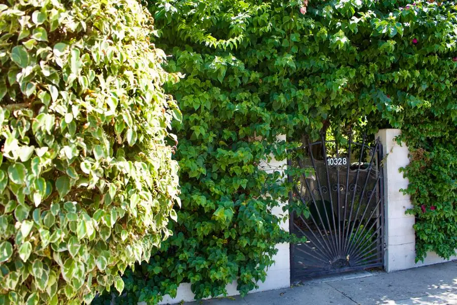 10328 Hickory Street, Los Angeles, CA 90002 - #3