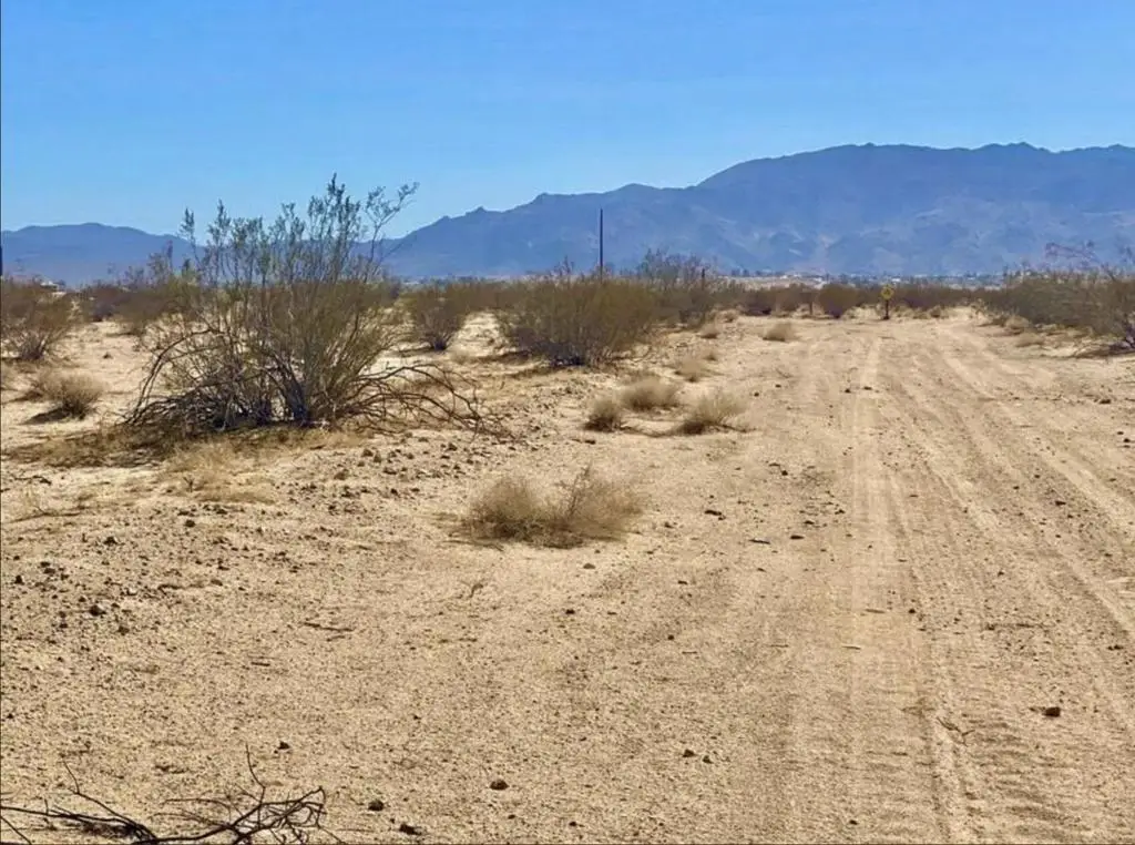 5310 Lazy Joe Avenue, Twentynine Palms, CA 92277 - #1
