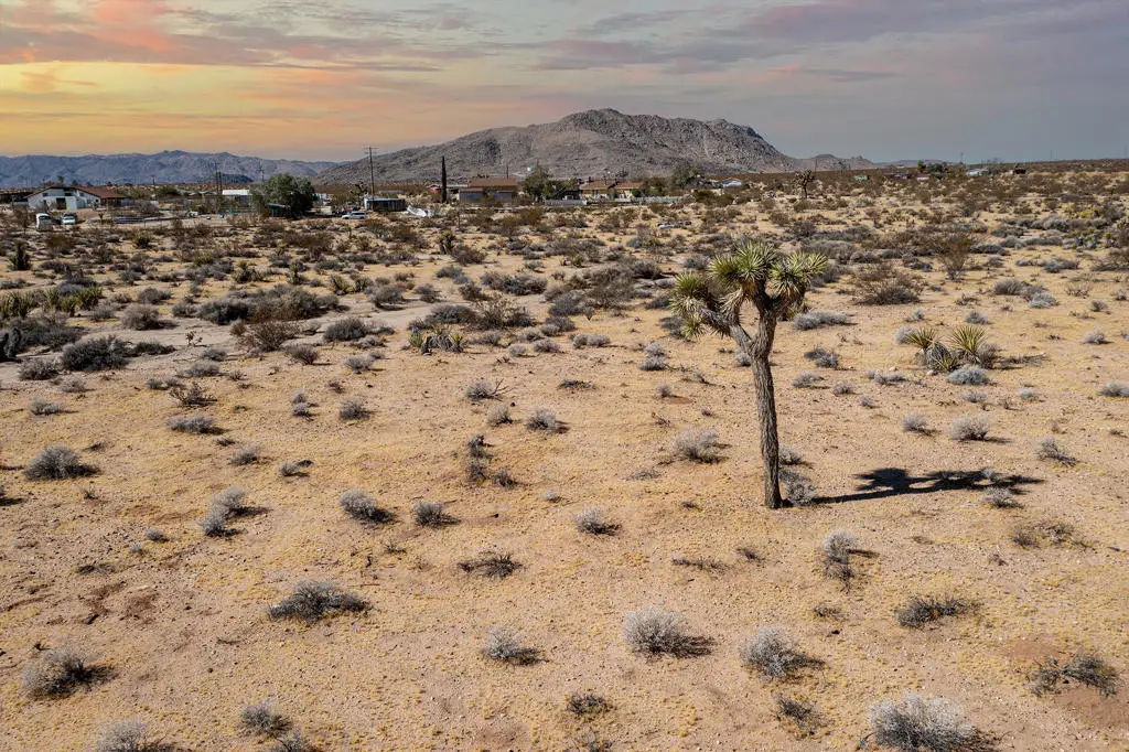 204 Avenida Del Sol, Joshua Tree, CA 92252 - #1