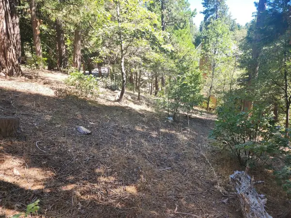 0 Grass Valley, Lake Arrowhead, CA 92352