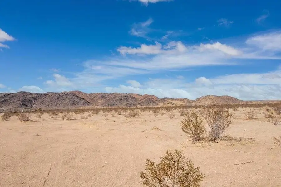 109 Amboy Road, Twentynine Palms Yucca Valley, CA 92277 - #3