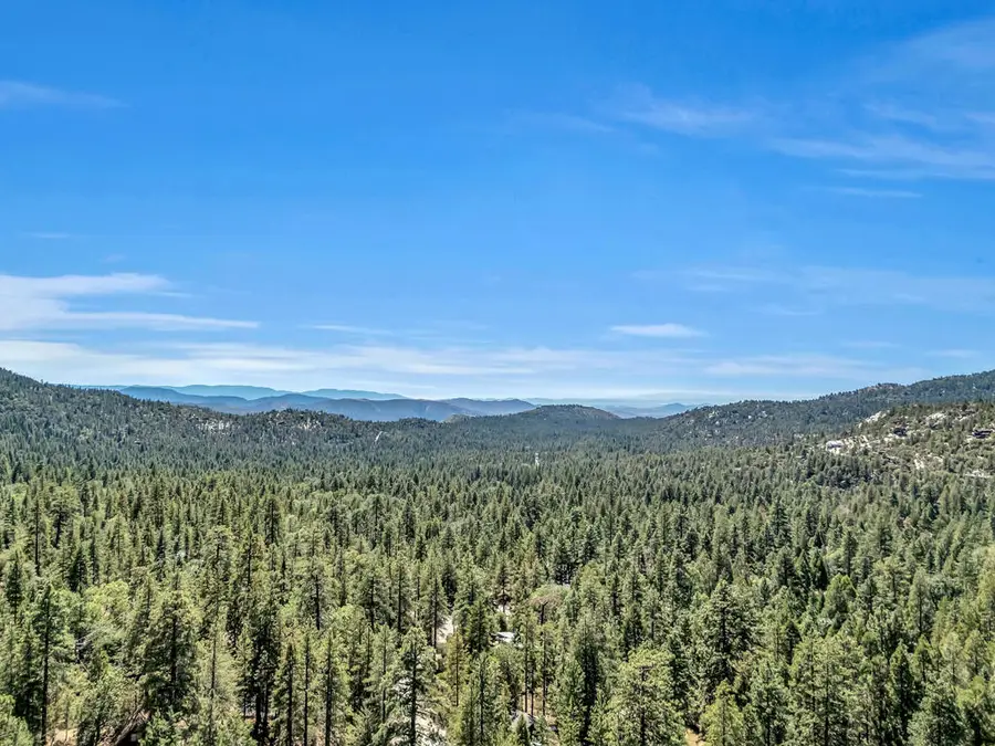 25126 Cougar Road, Idyllwild, CA 92549 - #3