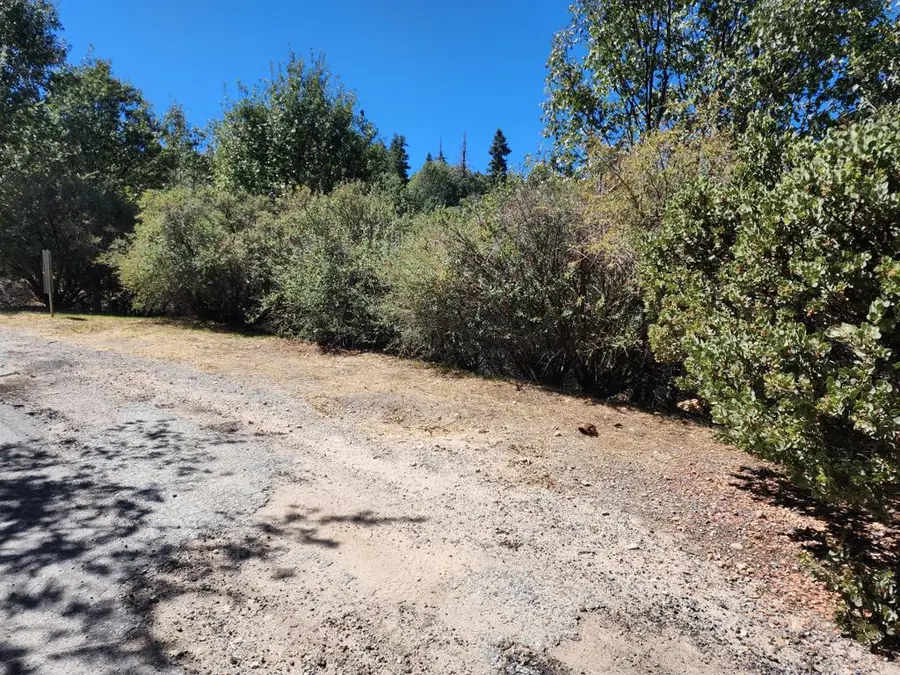 522 Elder Drive, Cedar Glen, CA 92321 - #2