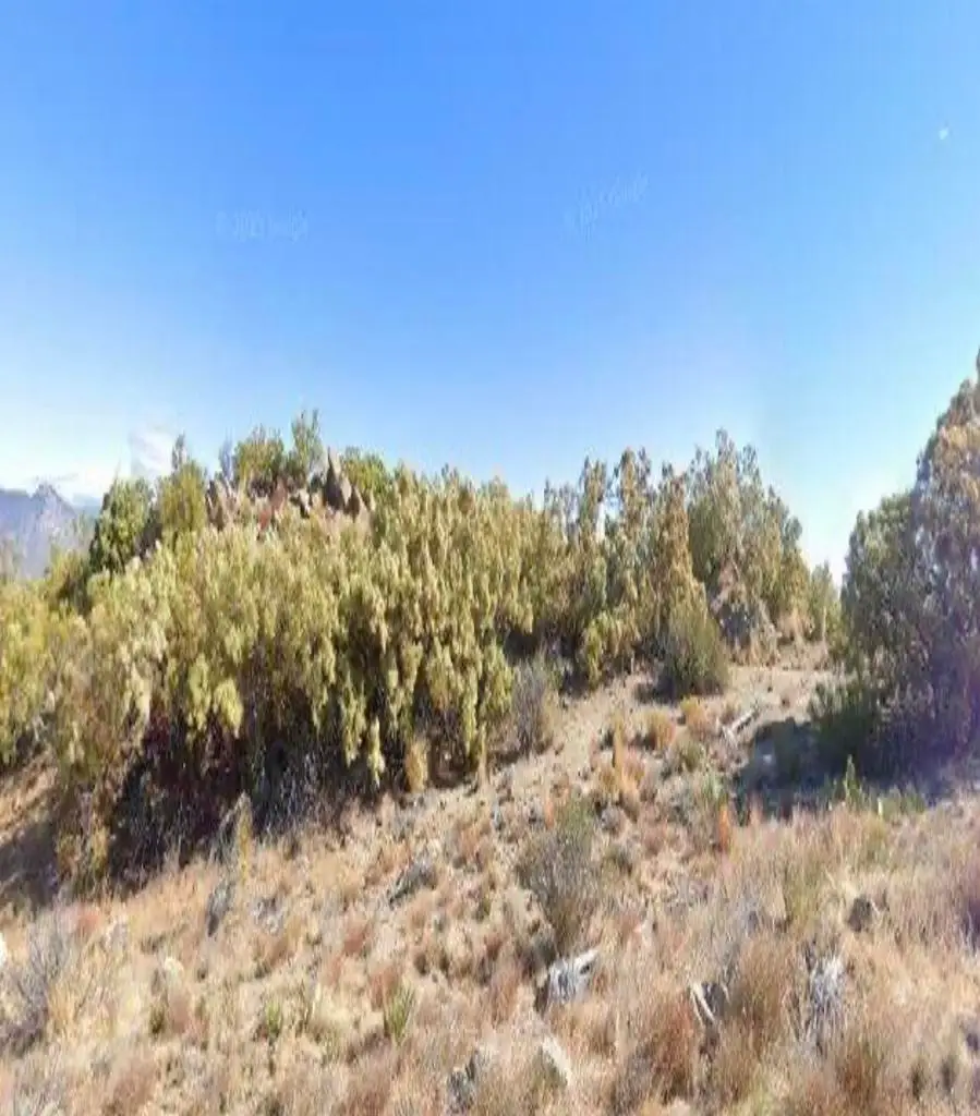0 Redwood Drive, Mountain Center, CA 92561 - #2