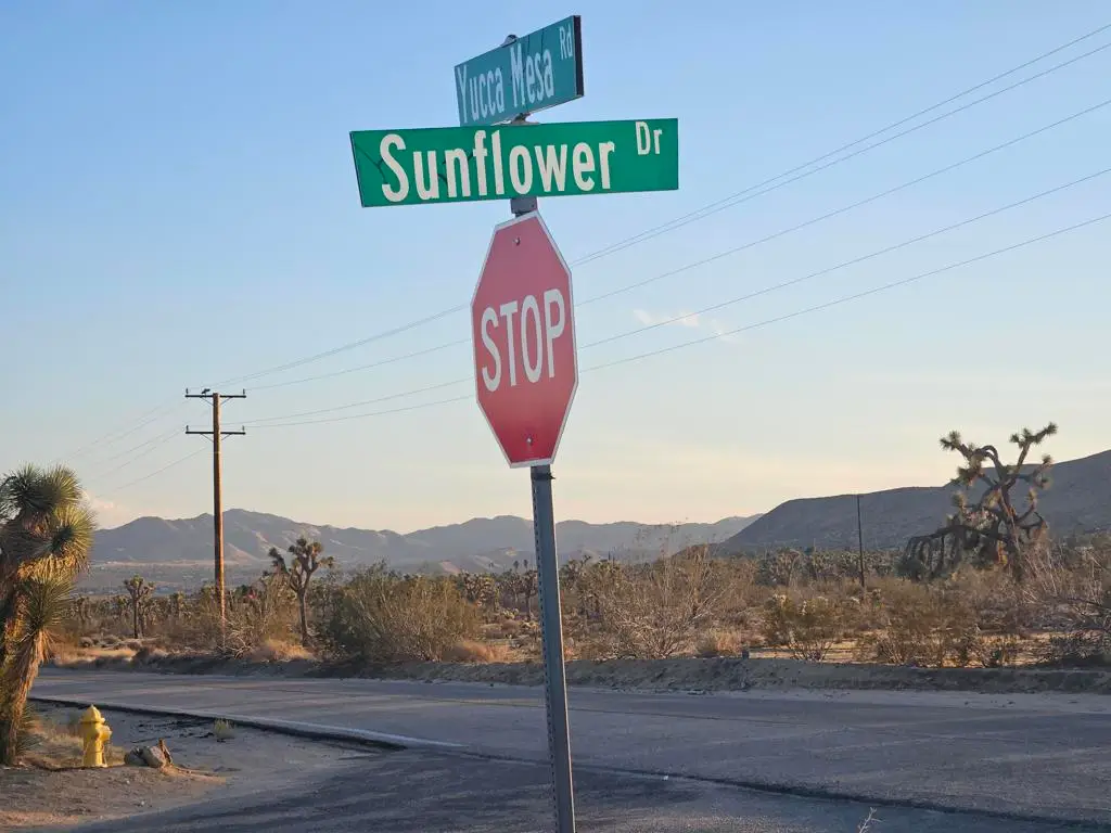 10 Yucca Mesa Road, Yucca Valley, CA 92284 - #1