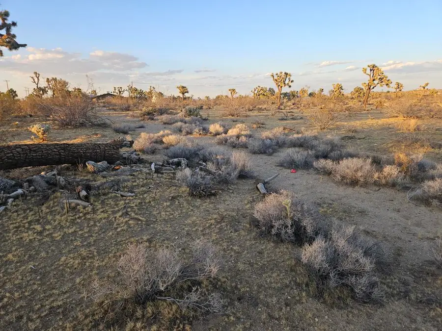 10 Yucca Mesa Road, Yucca Valley, CA 92284 - #2