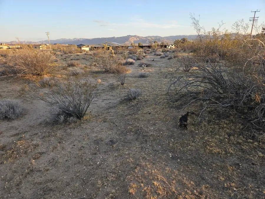 10 Yucca Mesa Road, Yucca Valley, CA 92284 - #3