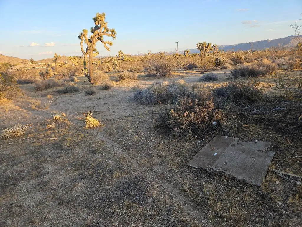 20 Yucca Mesa Road, Yucca Valley, CA 92284 - #1
