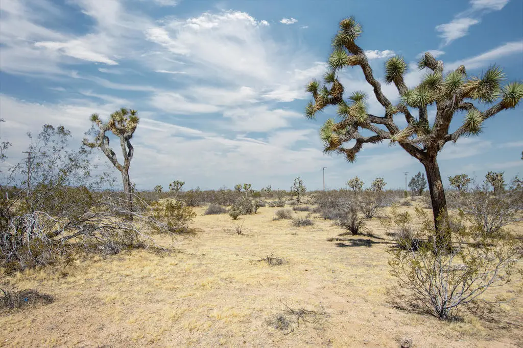 138 La Brisa Road, Yucca Valley, CA 92284 - #1
