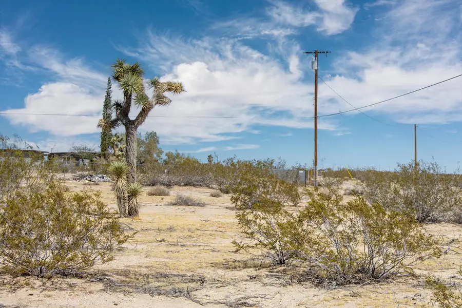 306 Stonehill Avenue, Joshua Tree, CA 92252 - #2