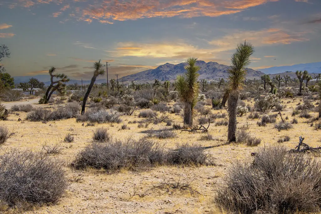 58470 Mesa Drive, Yucca Valley, CA 92284 - #1