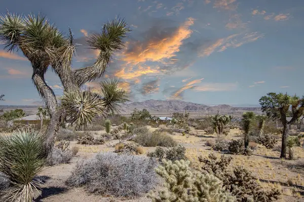 60586 La Mirada Trail, Joshua Tree, CA 92252