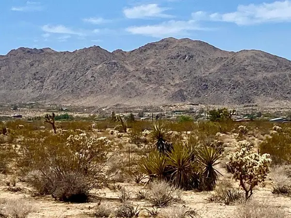 117 Border Road, Joshua Tree, CA 92252