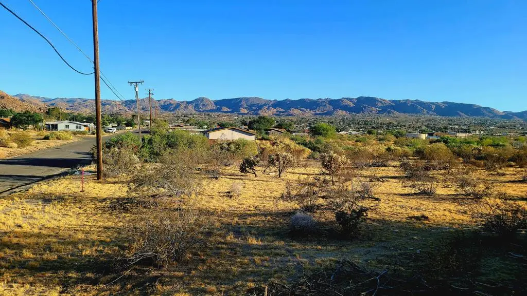 6186 El Reposo Street, Joshua Tree, CA 92252 - #1