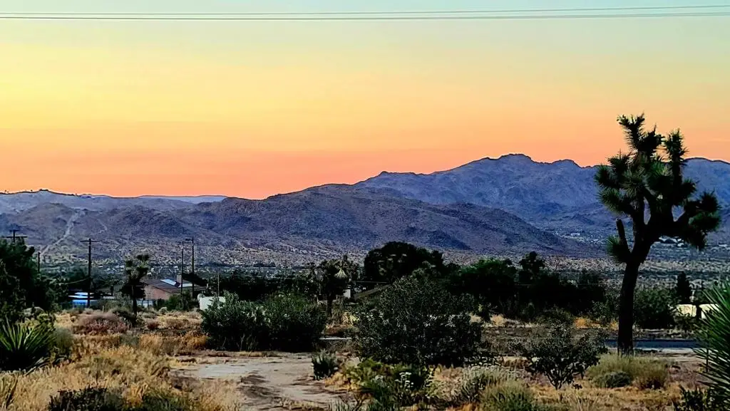 60307 Alta Loma Drive, Joshua Tree, CA 92252 - #1