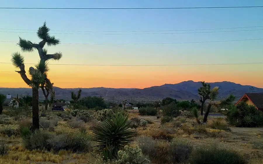 60307 Alta Loma Drive, Joshua Tree, CA 92252 - #3