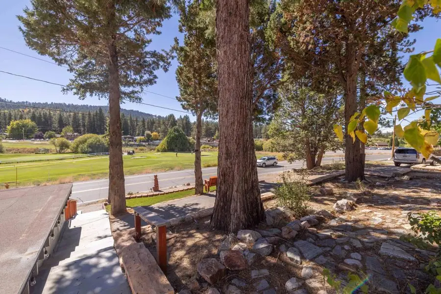 42948 Moonridge Road, Big Bear Lake, CA 92314 - #3