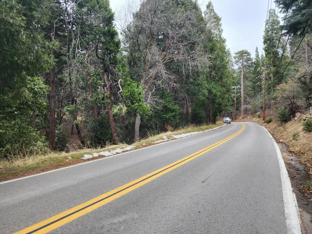 0 Hook Creek Road, Cedar Glen, CA 92321 - #1
