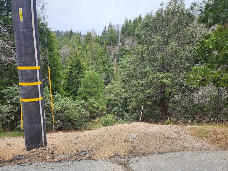 0 Hook Creek Road, Cedar Glen, CA 92321 - #3