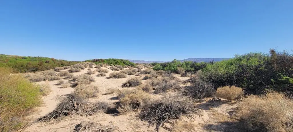1655 La Buena Tierra Avenue, Twentynine Palms Yucca Valley, CA 92277 - #1